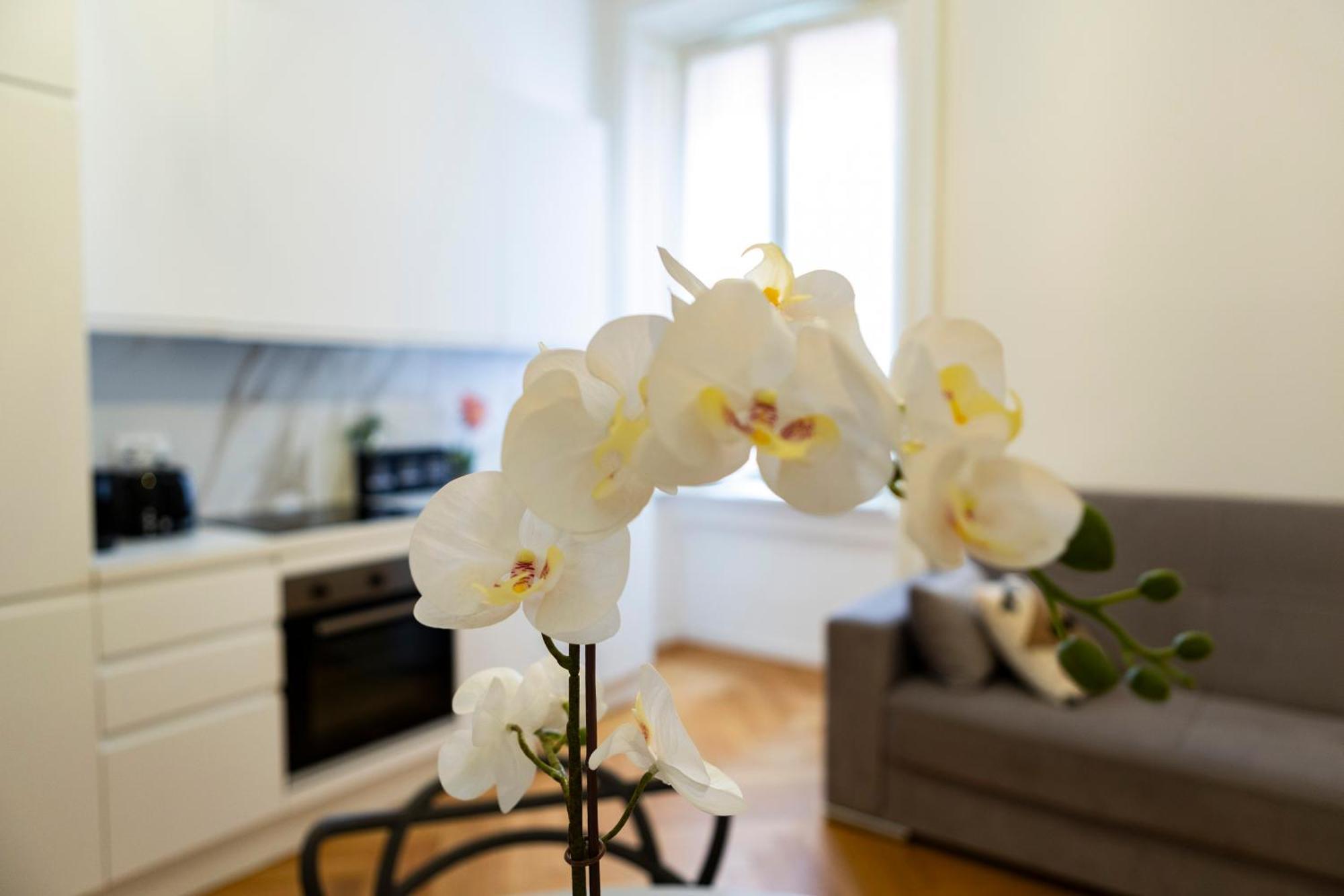 Macchi Delicious Apartment By 101Flats 米兰 外观 照片